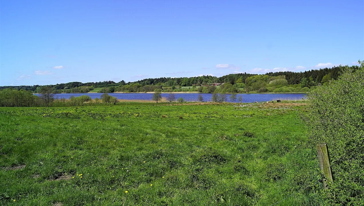 Alling Sø — Nils Jepsen/ user:Nico / Wikimedia Commons / CC BY-SA 4.0