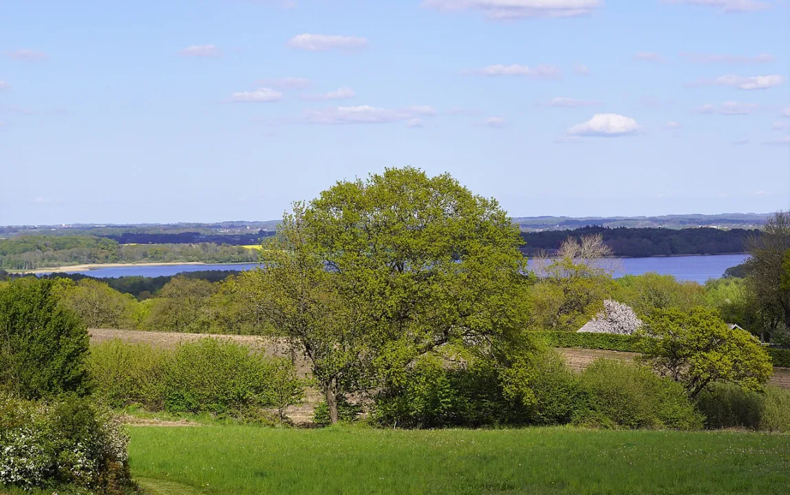 Arreskov Sø — Nils Jepsen /user:Nico / Wikimedia Commons / CC BY-SA 4.0