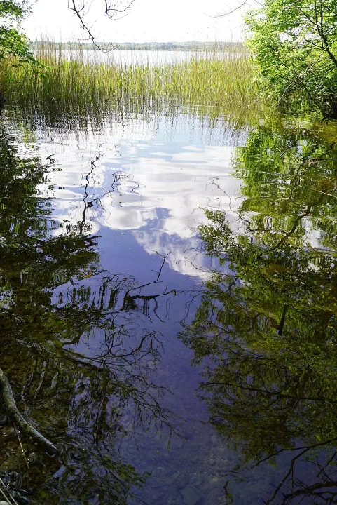 Arreskov Sø — Nils Jepsen /user:Nico / Wikimedia Commons / CC BY-SA 4.0