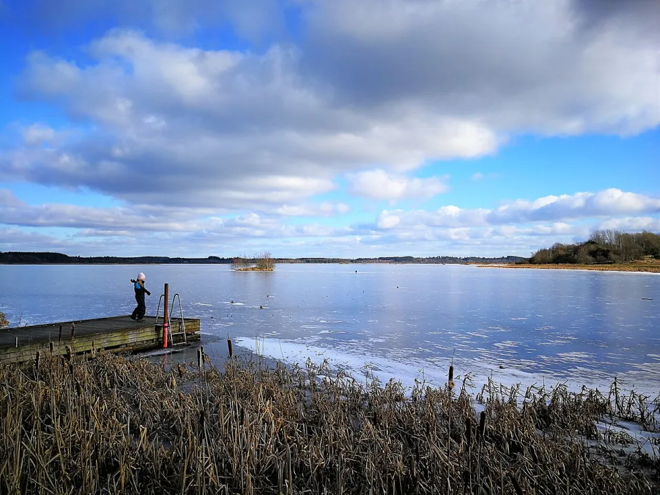 Bølling Sø — Nils Jepsen/ user:Nico / Wikimedia Commons / CC BY-SA 4.0