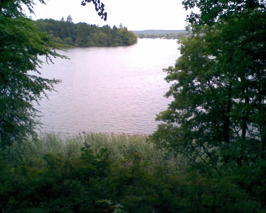 Borre Sø — Poul Krogsgård / Wikimedia Commons / Public domain