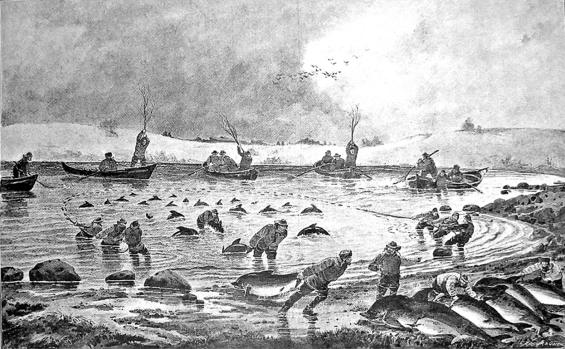 Gamborg Fjord — Image:K Gamborg / Wikimedia Commons / Public domain