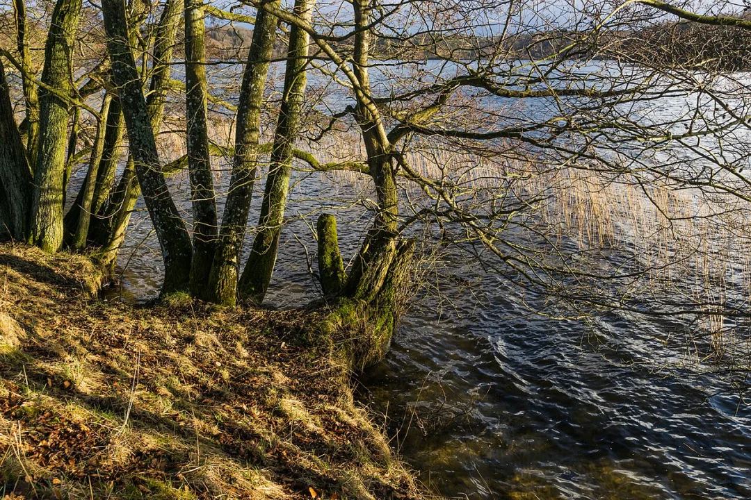 Hald Sø — Jebulon / Wikimedia Commons / CC0