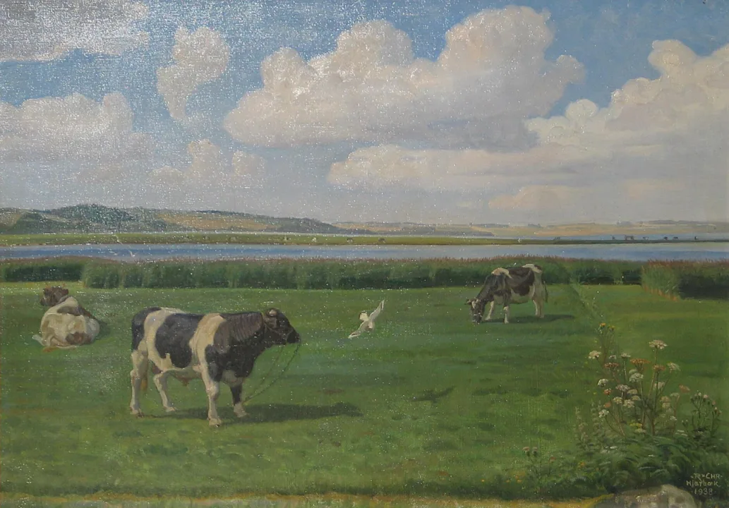 Hjarbæk Fjord — Rasmus Christiansen / Wikimedia Commons / Public domain