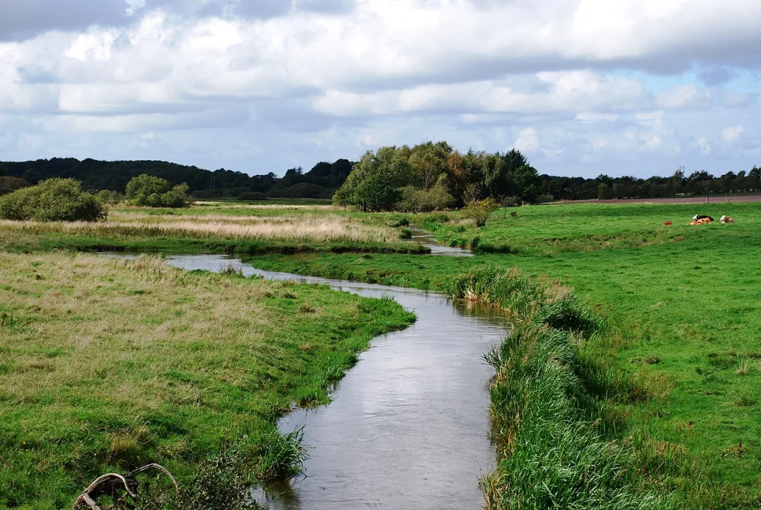 Holme Å — Varde Kommune / Wikimedia Commons / CC BY 2.0