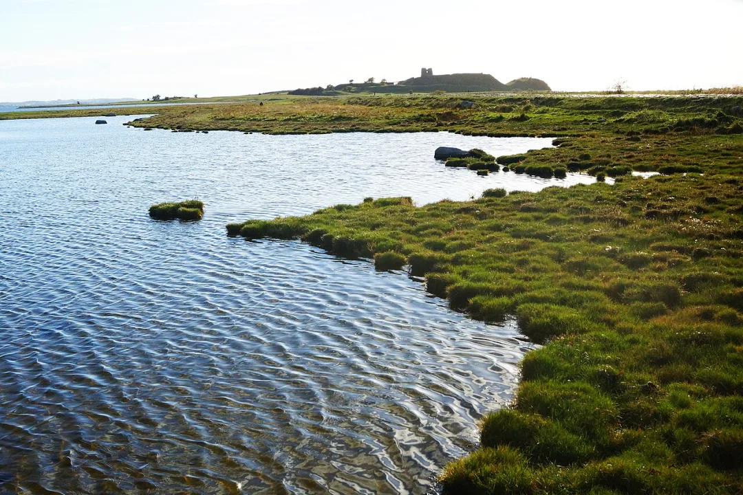 Kalø Vig — Sebastian Nils / Wikimedia Commons / CC BY-SA 3.0