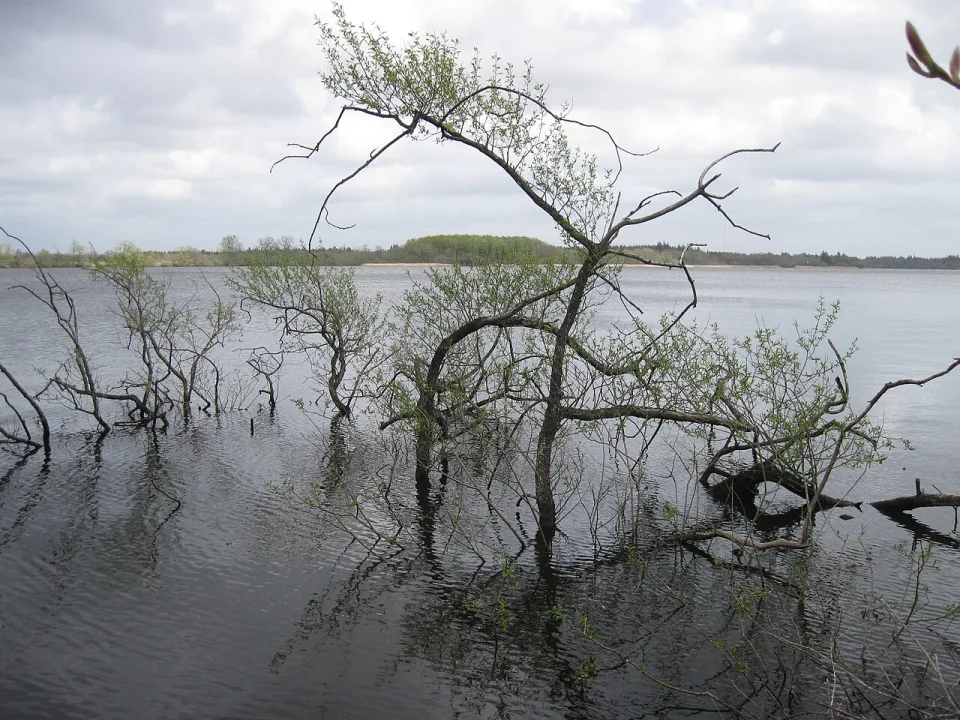 Karlsgårde Sø — Alicudi / Wikimedia Commons / CC BY-SA 3.0