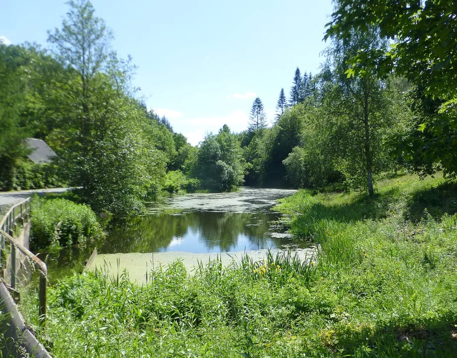 Lystrup Å — Nico-dk / Wikimedia Commons / CC BY-SA 3.0