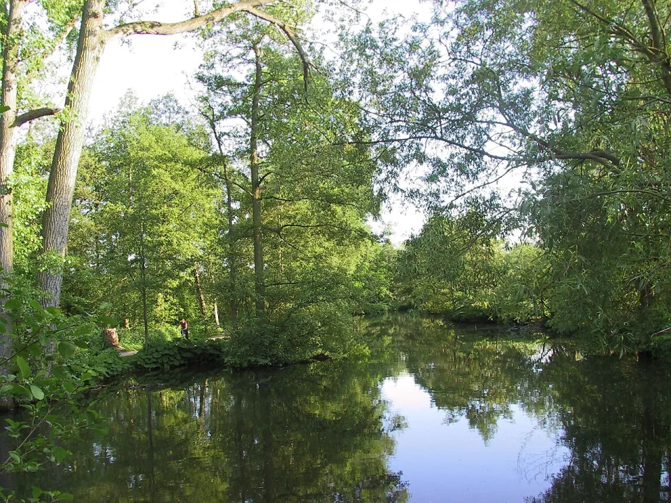 Odense Å — Wikimedia Commons / CC BY-SA 3.0