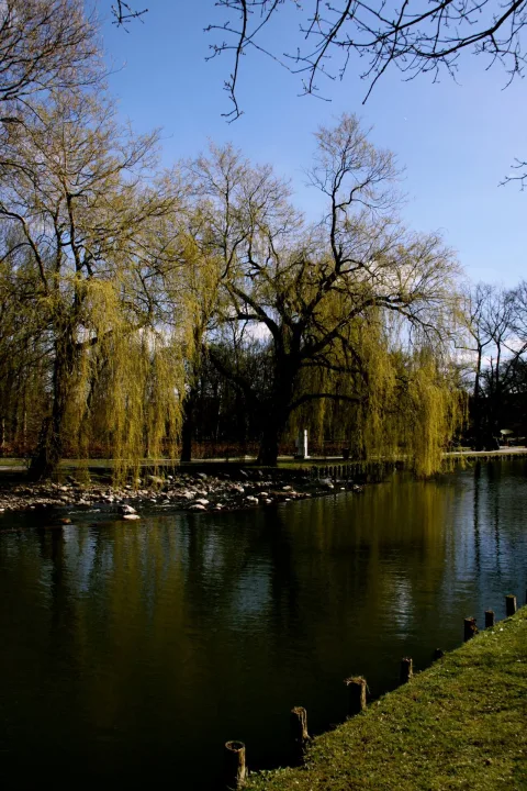 Odense Å — Bo Jessen / Wikimedia Commons / CC0