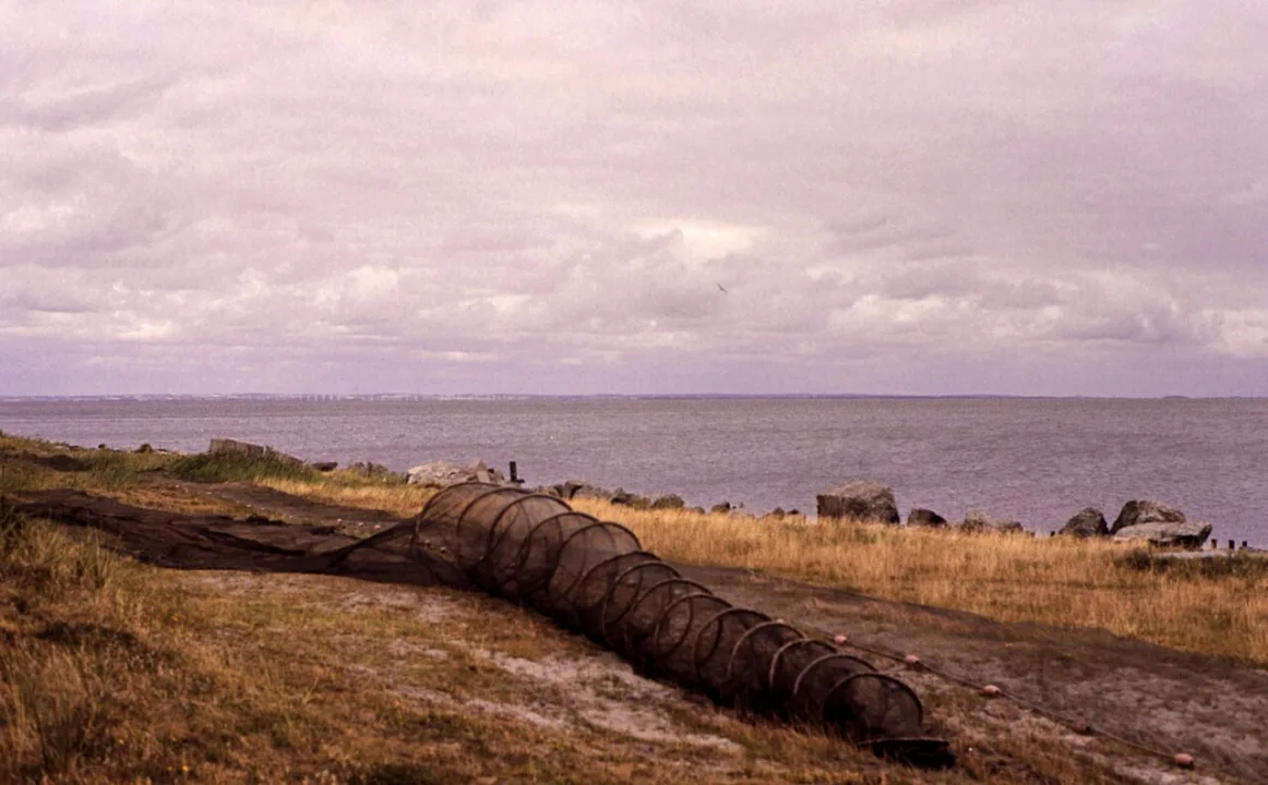 Ringkøbing Fjord — Rüdiger Stehn from Kiel, Deutschland / Wikimedia Commons / CC BY-SA 2.0