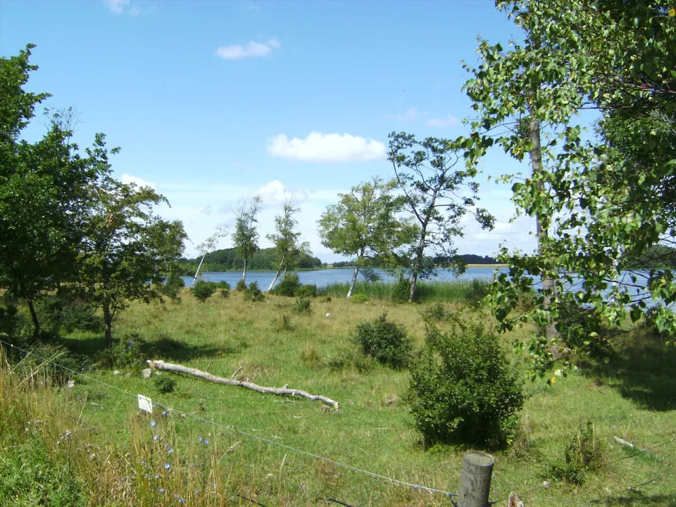 Røgbølle Sø — Erik Damskier / Wikimedia Commons / Public domain