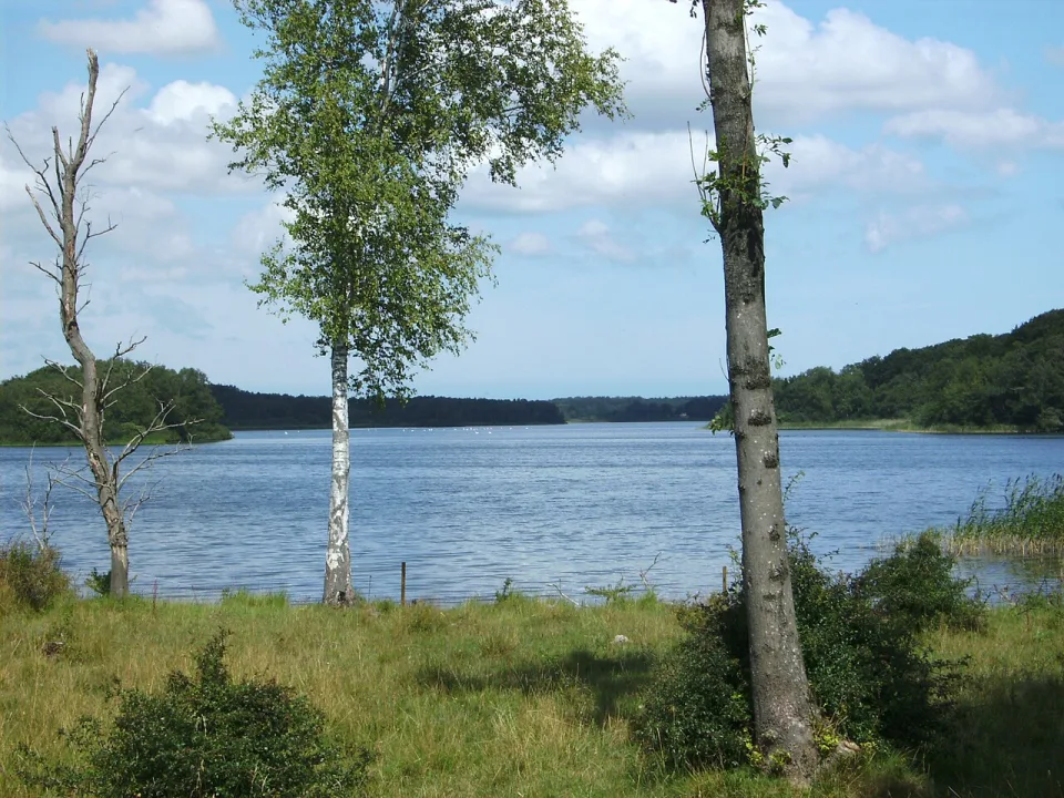 Røgbølle Sø — Erik Damskier / Wikimedia Commons / Public domain