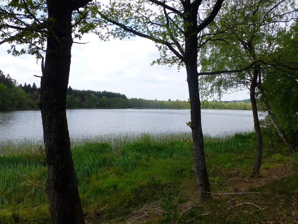 Salten Langsø — Nico / Wikimedia Commons / CC BY-SA 4.0