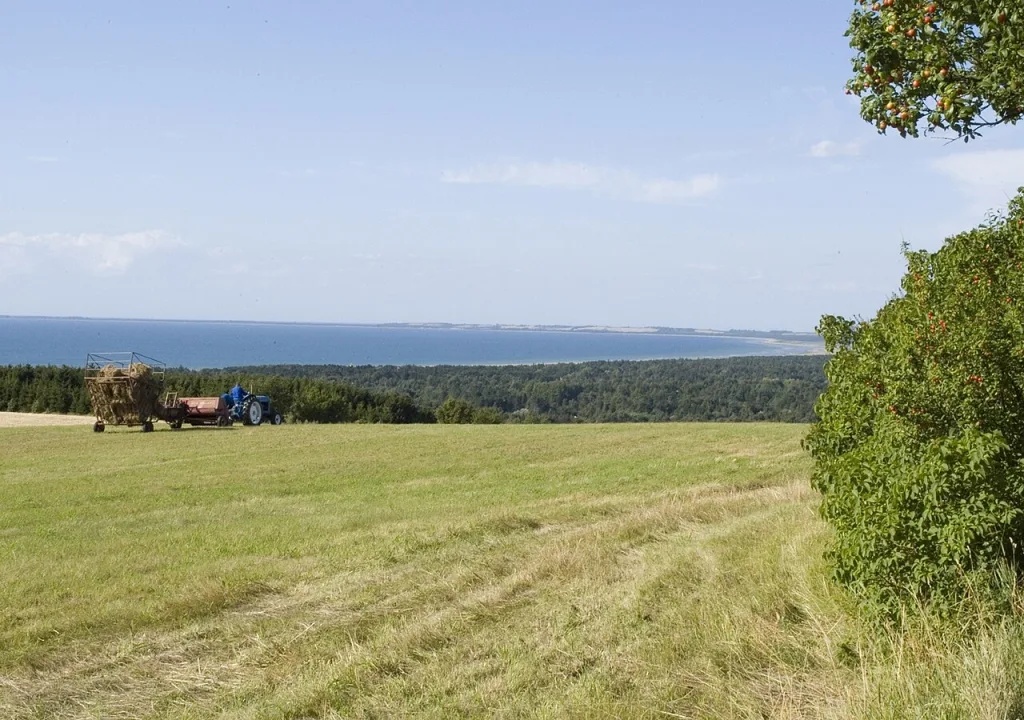 Sejerø Bugt — Odsherred Kommune / Wikimedia Commons / CC BY-SA 3.0