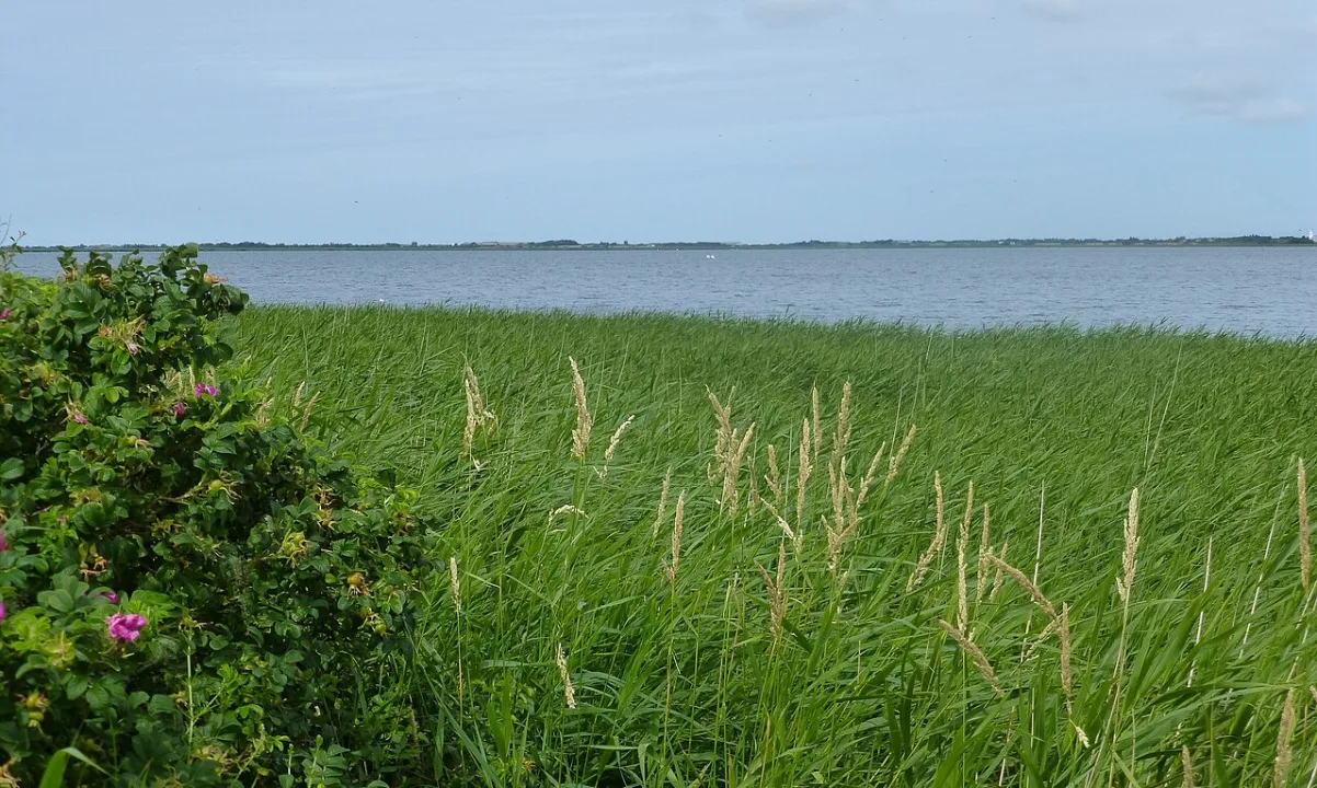 Stadil Fjord — Nico-dk / Wikimedia Commons / CC BY-SA 3.0
