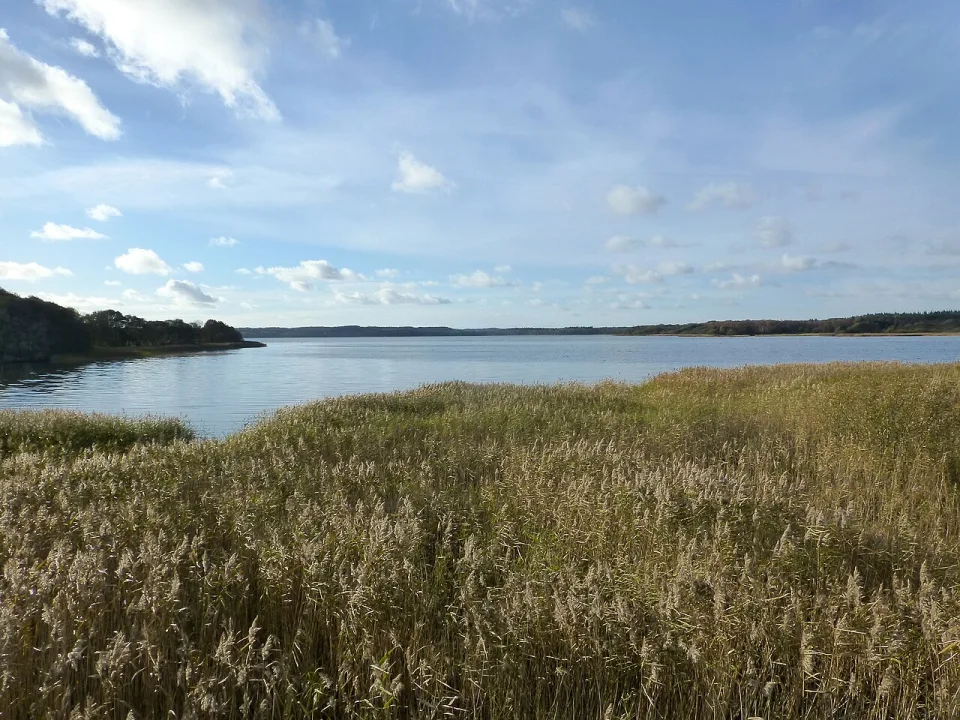 Stubbe Sø — Nico-dk / Nils Jepsen / Wikimedia Commons / CC BY-SA 3.0