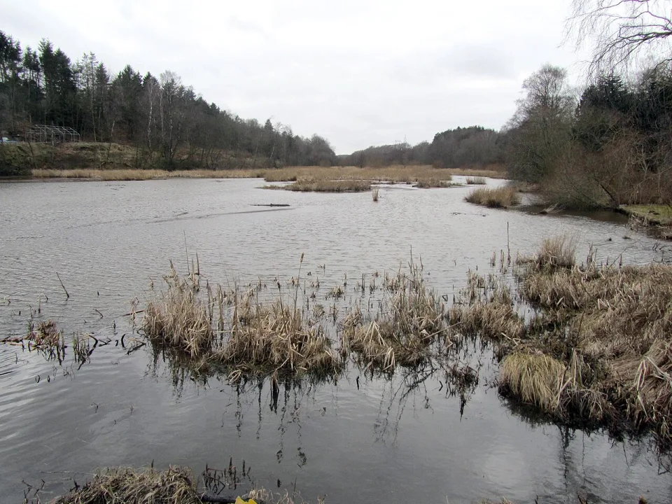 Tange Sø — Nico-dk / Wikimedia Commons / CC BY-SA 3.0