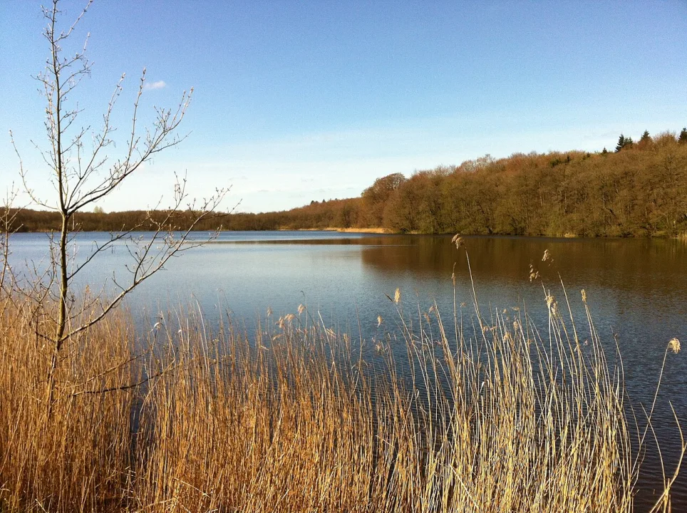 Vallum Sø — SkriverA / Wikimedia Commons / CC BY-SA 4.0
