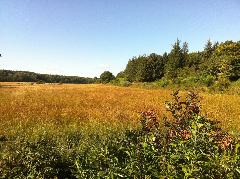 Vallum Sø — SkriverA / Wikimedia Commons / CC BY-SA 4.0