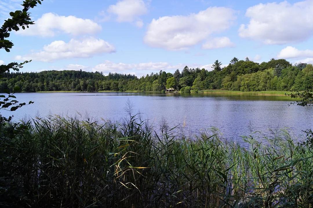 Vejlsø — Nils Jepsen /user:Nico / Wikimedia Commons / CC BY-SA 4.0
