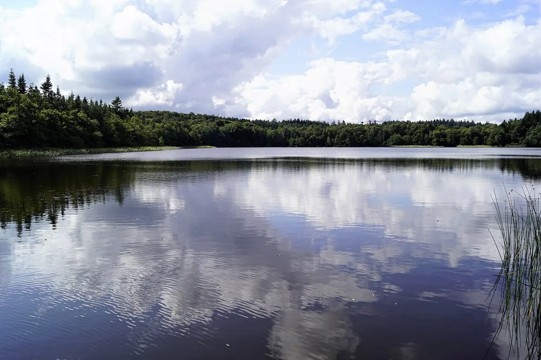 Vejlsø — Nils Jepsen /user:Nico / Wikimedia Commons / CC BY-SA 4.0