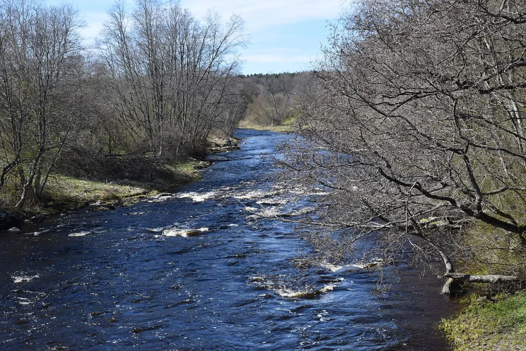 Pirita jõgi — Erko / Wikimedia Commons / CC BY-SA 4.0