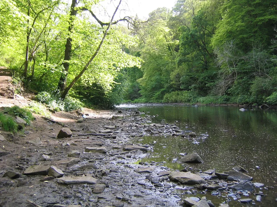Avon Water — AlistairMcMillan / Wikimedia Commons / CC BY-SA 2.0