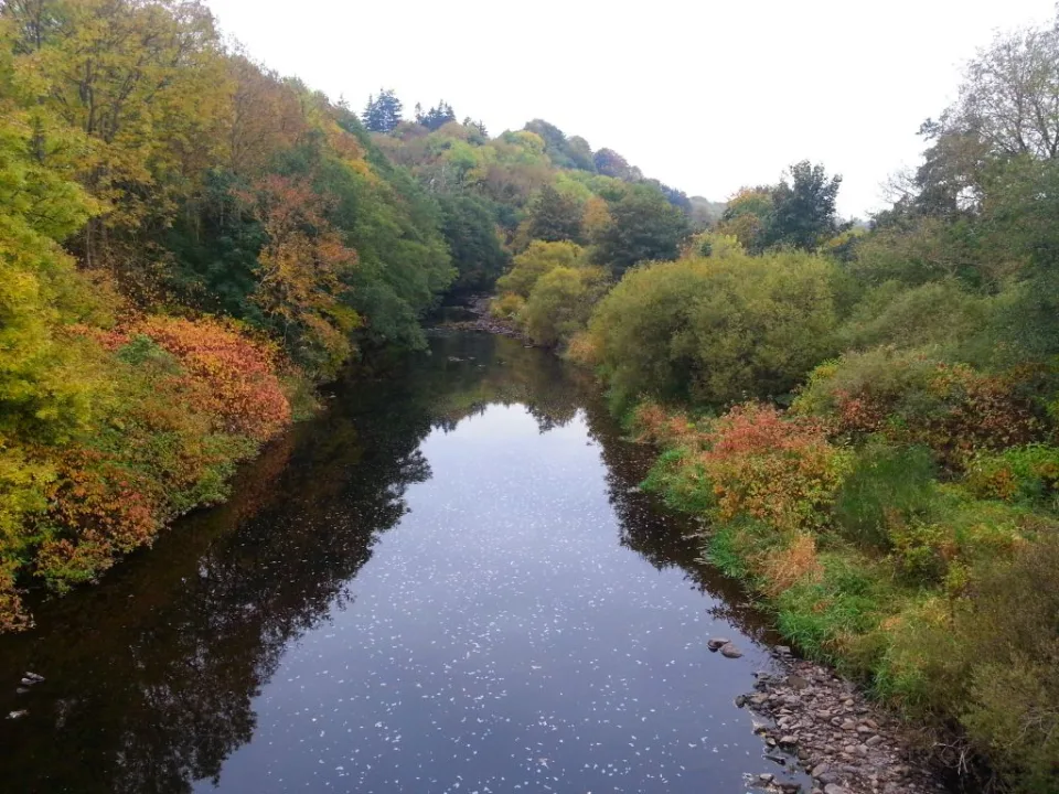 Avon Water — Robert Murray  / Wikimedia Commons / CC BY-SA 2.0