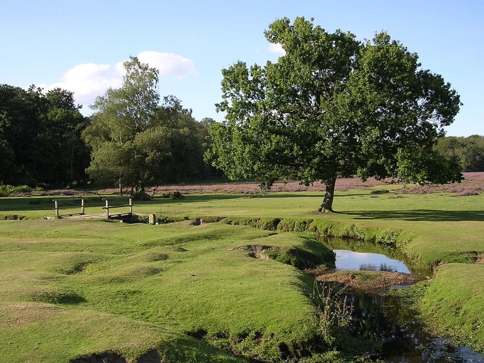 Beaulieu River — Jim Champion / Wikimedia Commons / CC BY-SA 3.0