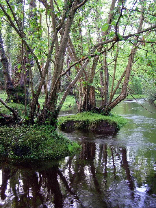 Beaulieu River — Jim Champion / Wikimedia Commons / CC BY-SA 3.0