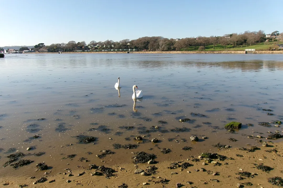 Bembridge Harbour — ITookSomePhotos / Wikimedia Commons / CC BY-SA 4.0