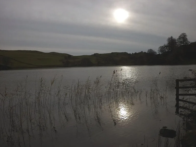 Bigland Tarn — Karl and Ali  / Wikimedia Commons / CC BY-SA 2.0
