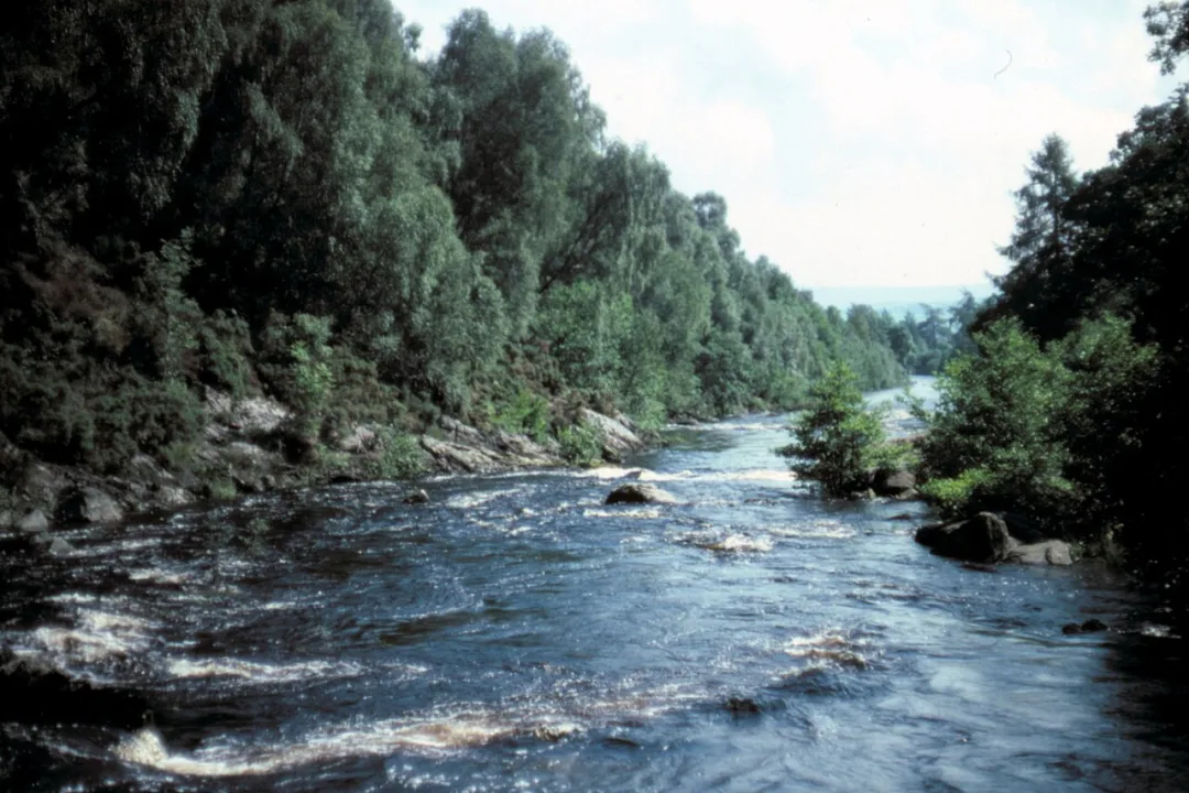 Black Water — Helmut Zozmann  / Wikimedia Commons / CC BY-SA 2.0