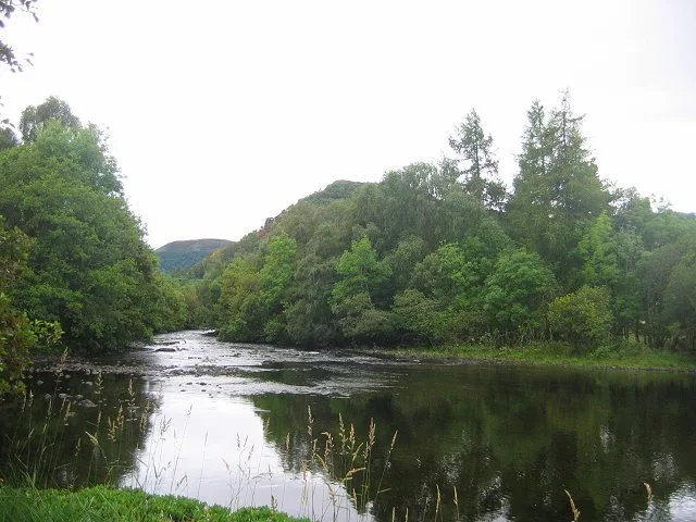 Black Water — Richard Webb / Wikimedia Commons / CC BY-SA 2.0