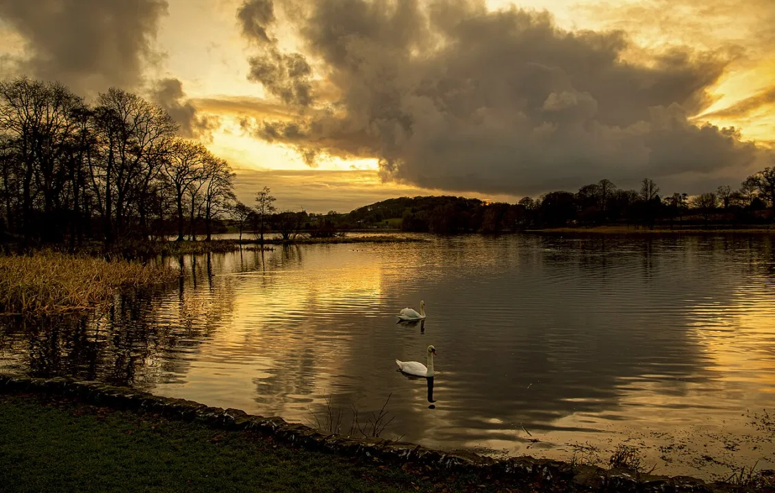 Carlingwark Loch — caroline legg / Wikimedia Commons / CC BY 2.0