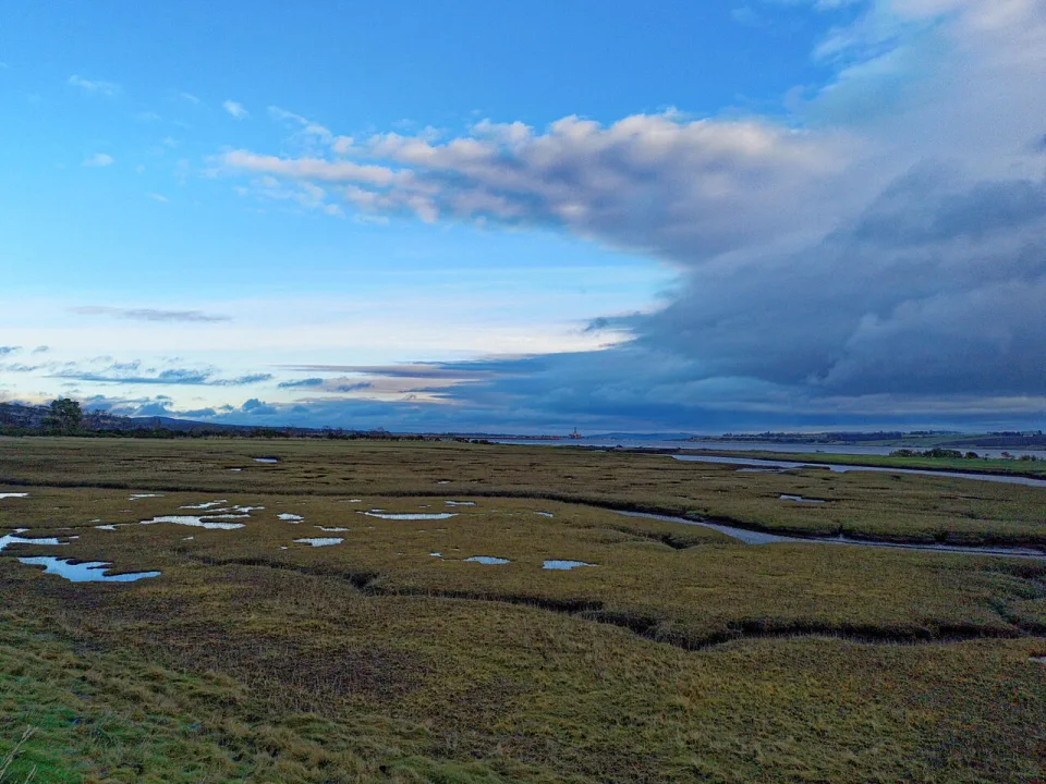 Cromarty Firth — Julian Paren  / Wikimedia Commons / CC BY-SA 2.0