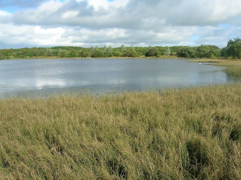 Eglinton Loch — Rosser1954 at en.wikipedia / Wikimedia Commons / Public domain