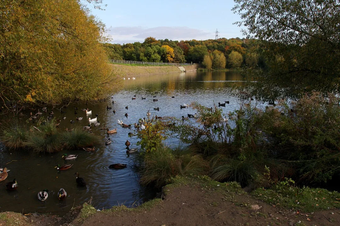 Elsecar Reservoir — David Rogers  / Wikimedia Commons / CC BY-SA 2.0
