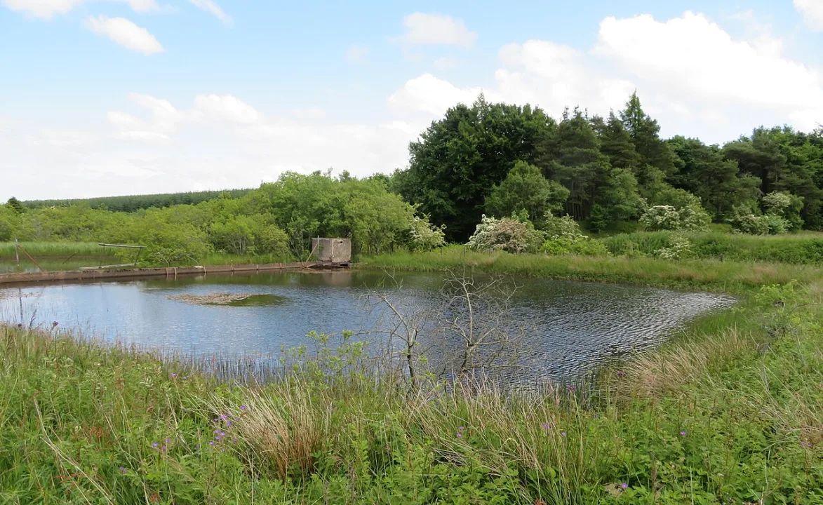 Forrestburn Reservoir — M J Richardson  / Wikimedia Commons / CC BY-SA 2.0