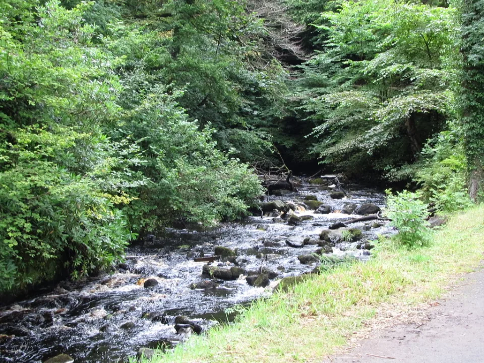 Glenariff River — Eric Jones  / Wikimedia Commons / CC BY-SA 2.0