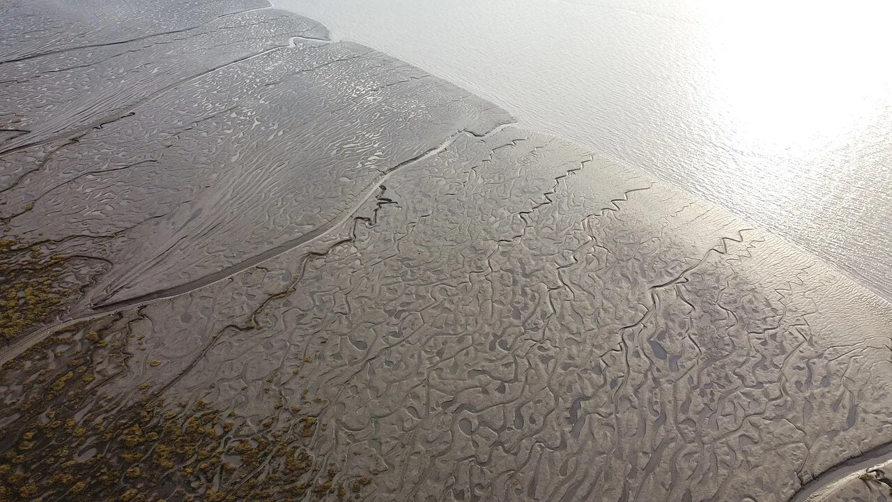 Humber — Andy Beecroft  / Wikimedia Commons / CC BY-SA 2.0