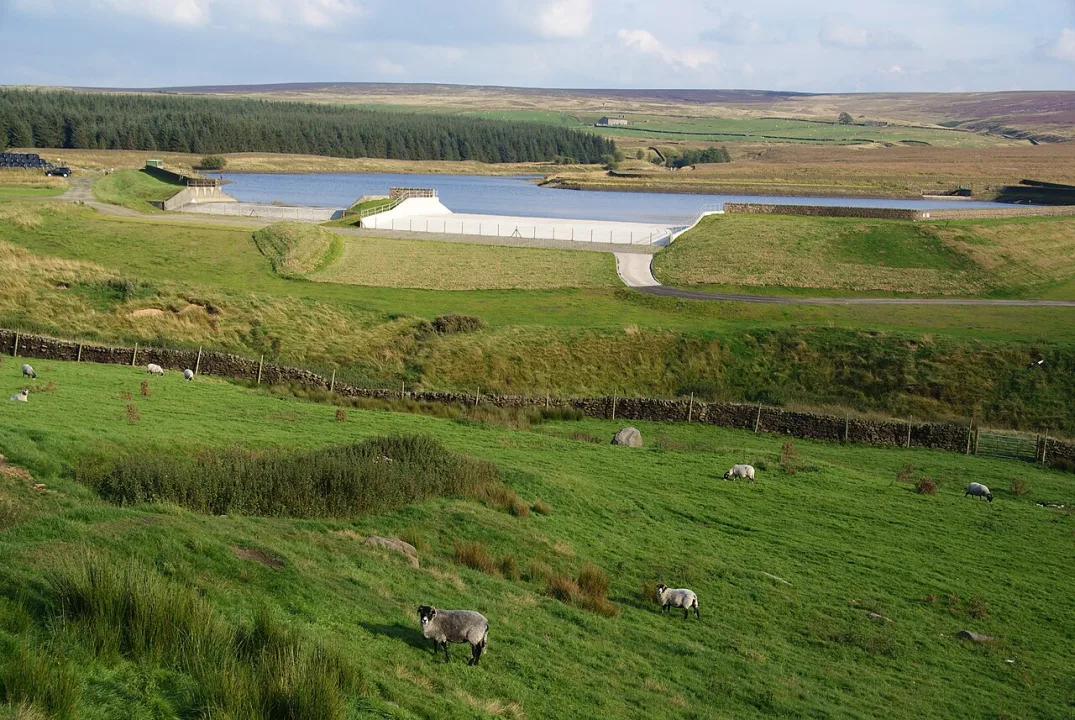 Laneshaw Reservoir — Bill Boaden / Wikimedia Commons / CC BY-SA 2.0
