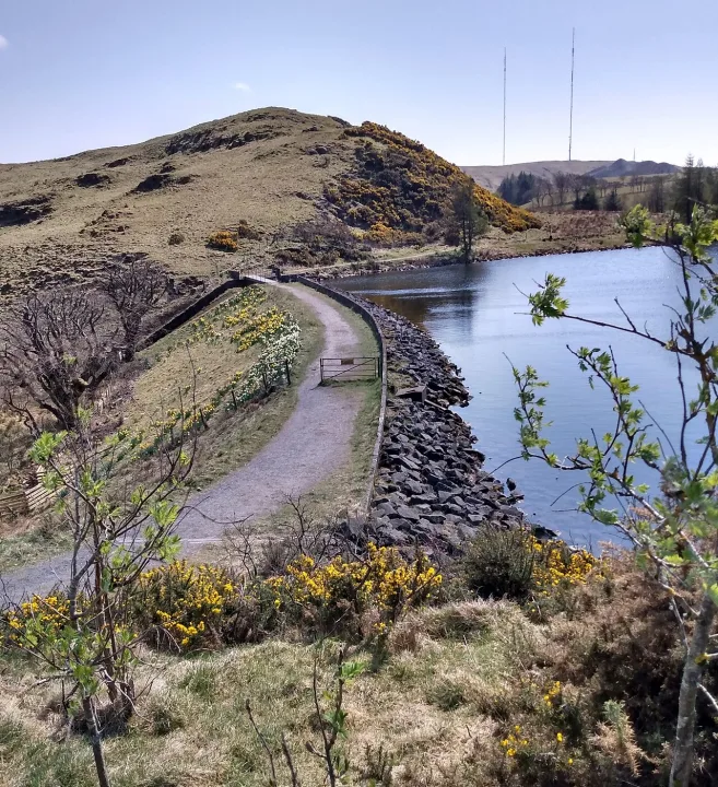 Lilly Loch — Jim Smillie  / Wikimedia Commons / CC BY-SA 2.0