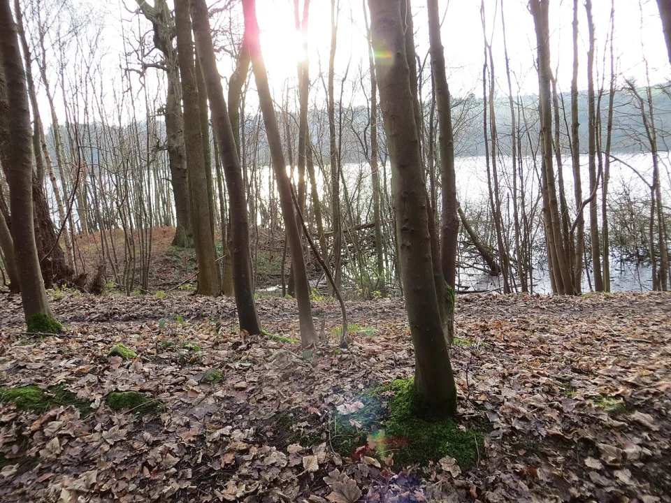 Lindley Wood Reservoir — Peter Wood  / Wikimedia Commons / CC BY-SA 2.0