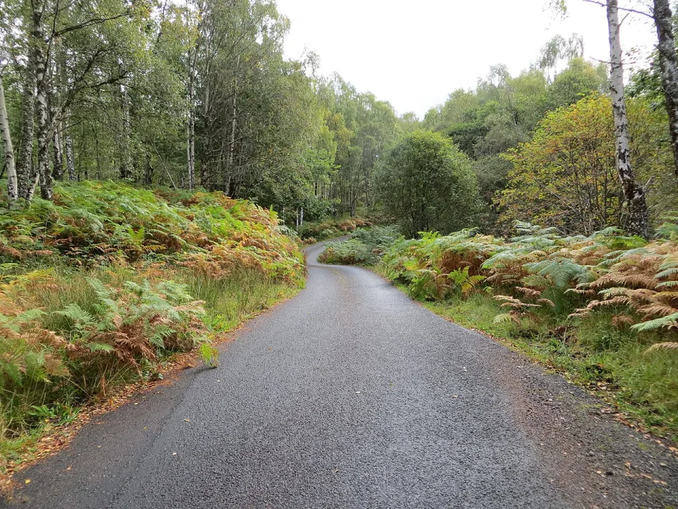 Loch Arkaig — Peter Wood  / Wikimedia Commons / CC BY-SA 2.0