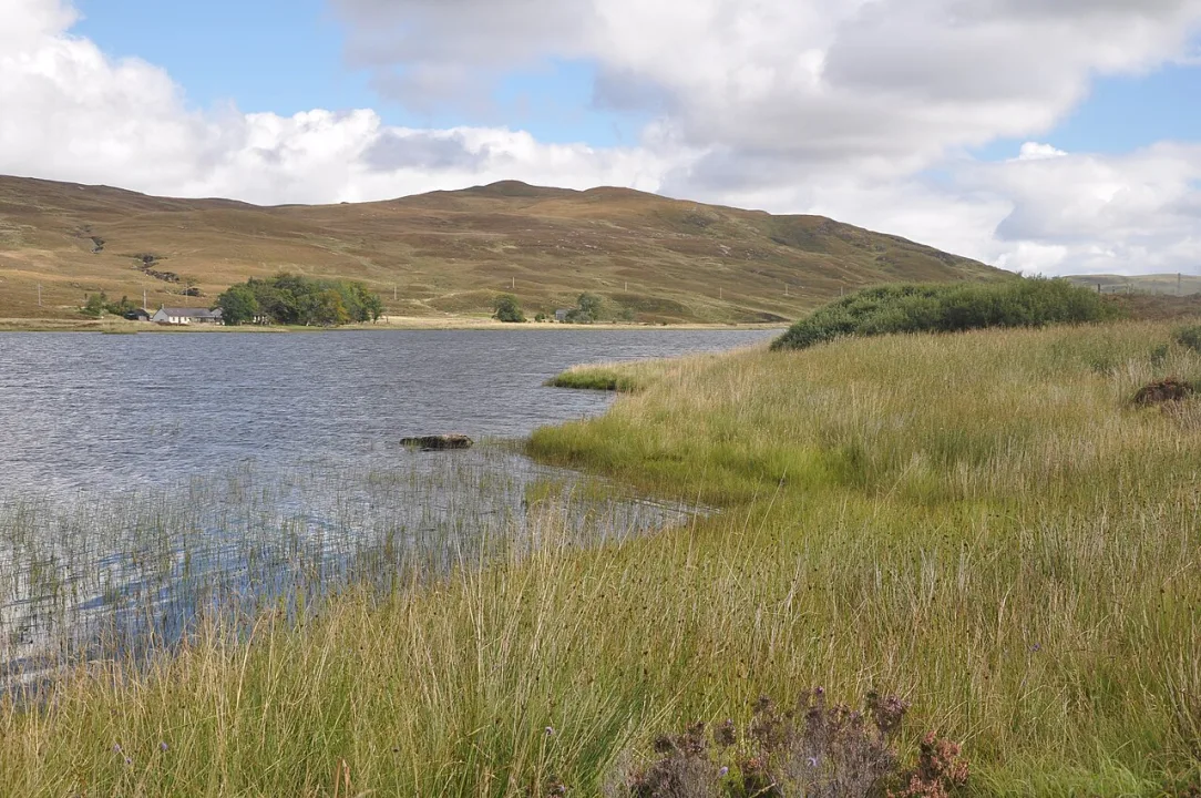 Loch Borralan — rob  / Wikimedia Commons / CC BY-SA 2.0