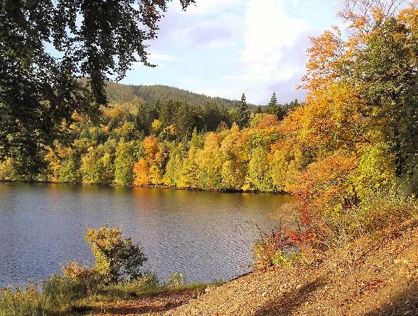 Loch Faskally — Arthur Bruce / Wikimedia Commons / CC BY-SA 2.0