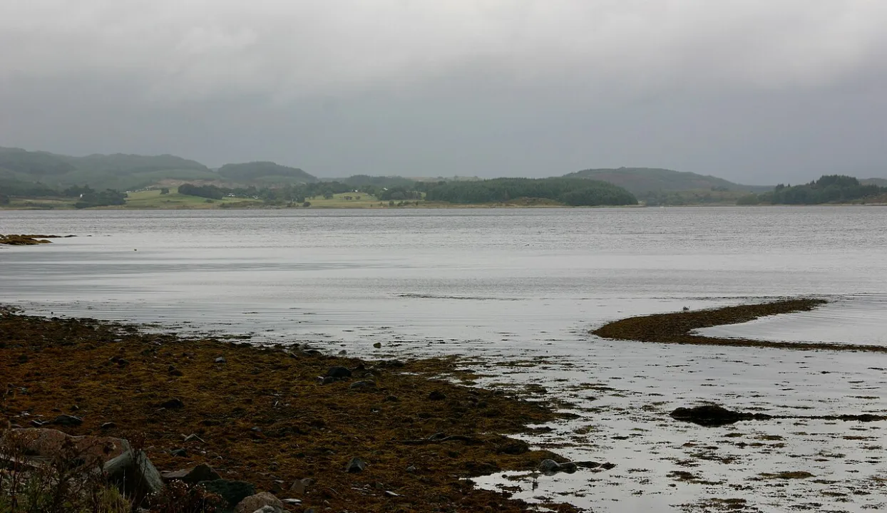 Loch Fyne — Gerd Eichmann / Wikimedia Commons / CC BY-SA 4.0