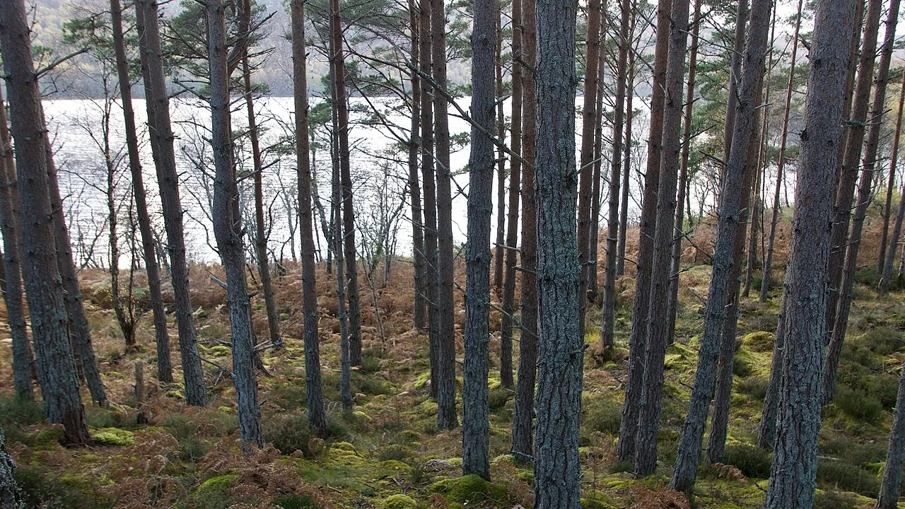 Loch Garve — Julian Paren  / Wikimedia Commons / CC BY-SA 2.0